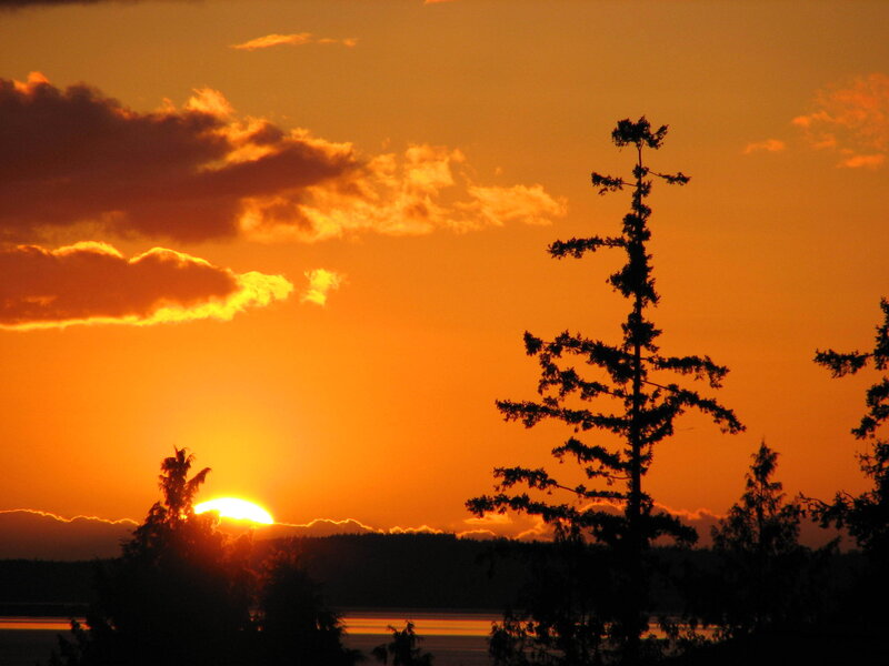 Sun Setting over Water — Orange, Serene, Sunset, Photograph, Trees, Clouds