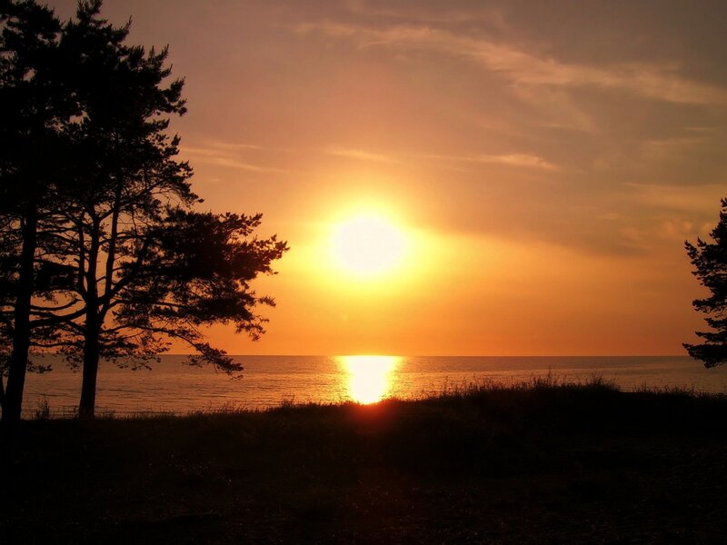 Sun Setting over Water — Orange, Serene, Sunset, Photograph, Trees, Sky