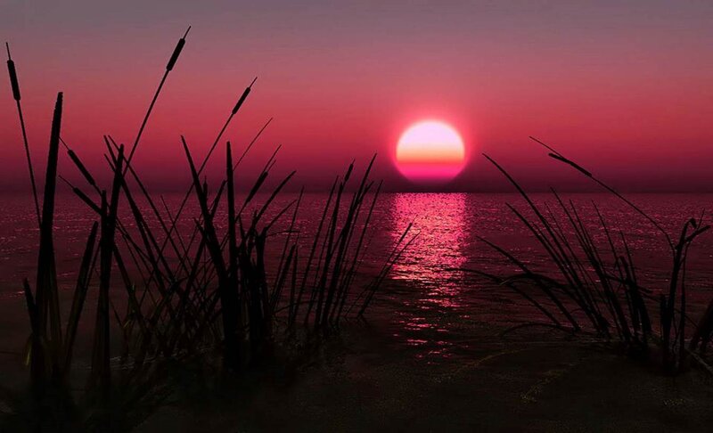 Sun Setting over Water — Pink, Serene, Sunset