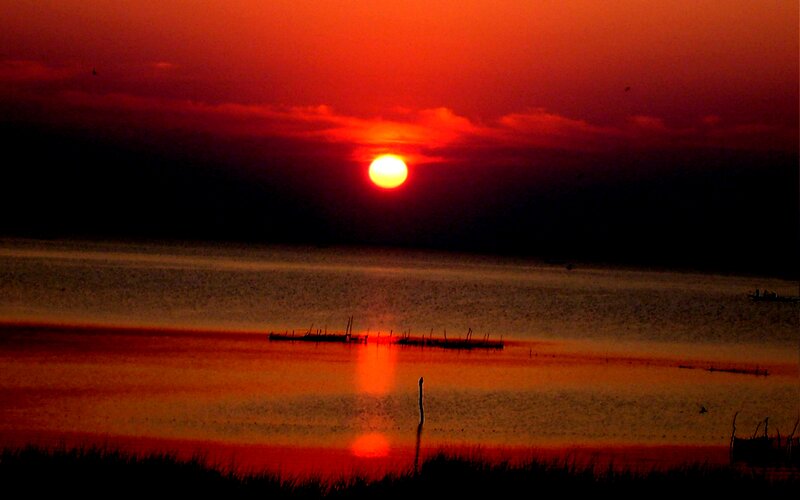 Sun Setting over Water — Red, Dramatic, Sunset, Photograph, Silhouette
