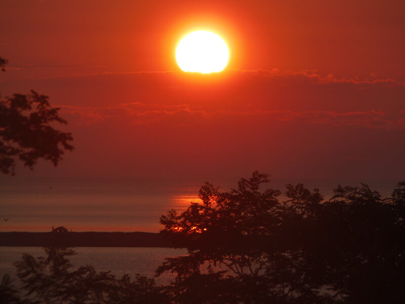 Sun Setting over Water — Red, Dramatic, Sunset, Photograph, Trees