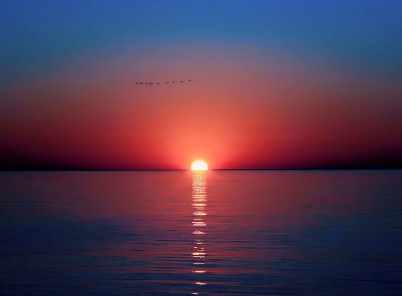 Sun Setting over Water — Red, Serene, Sunset, Photograph, Birds