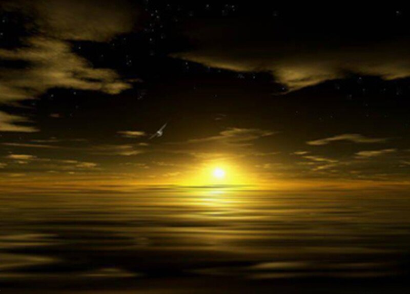 Sun Setting over Water — Yellow, Serene, Sunset, Digital Art, Clouds, Bird