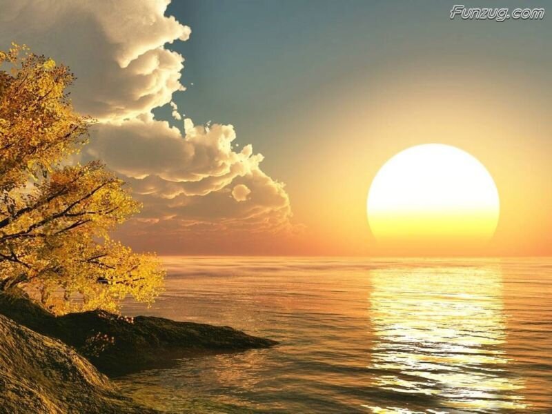 Sun Setting over Water — Yellow, Serene, Sunset, Digital Art, Tree, Clouds, Rocks