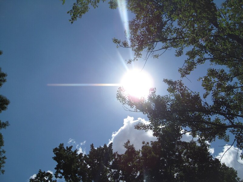 Sun Shining Through Trees — Blue