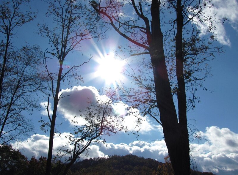 Sun Through Tree Branches — Blue, Bright