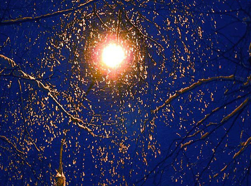 Sun Through Tree Branches — Blue, Dramatic