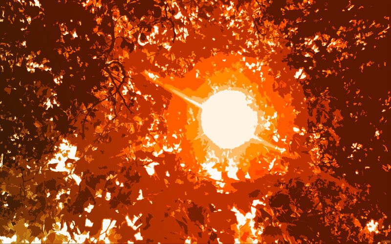 Sun Through Tree Leaves — Orange