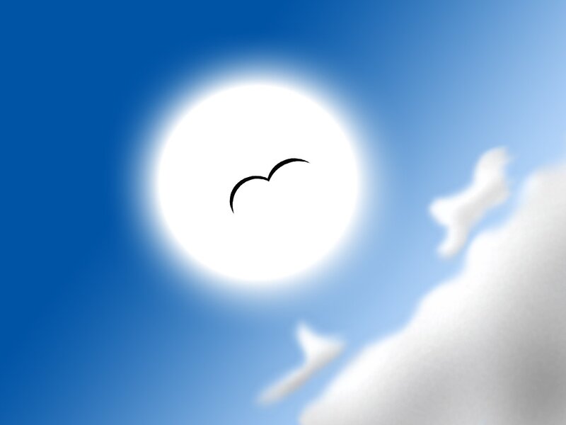 Sun with bird silhouette
