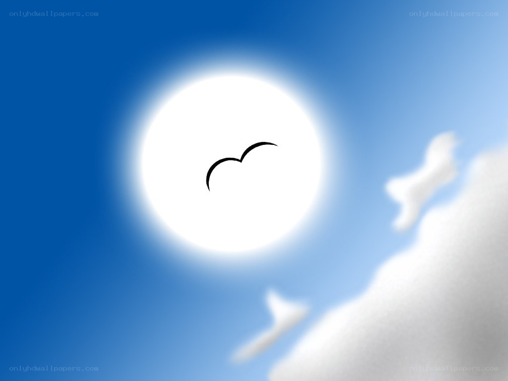 Sun with bird silhouette