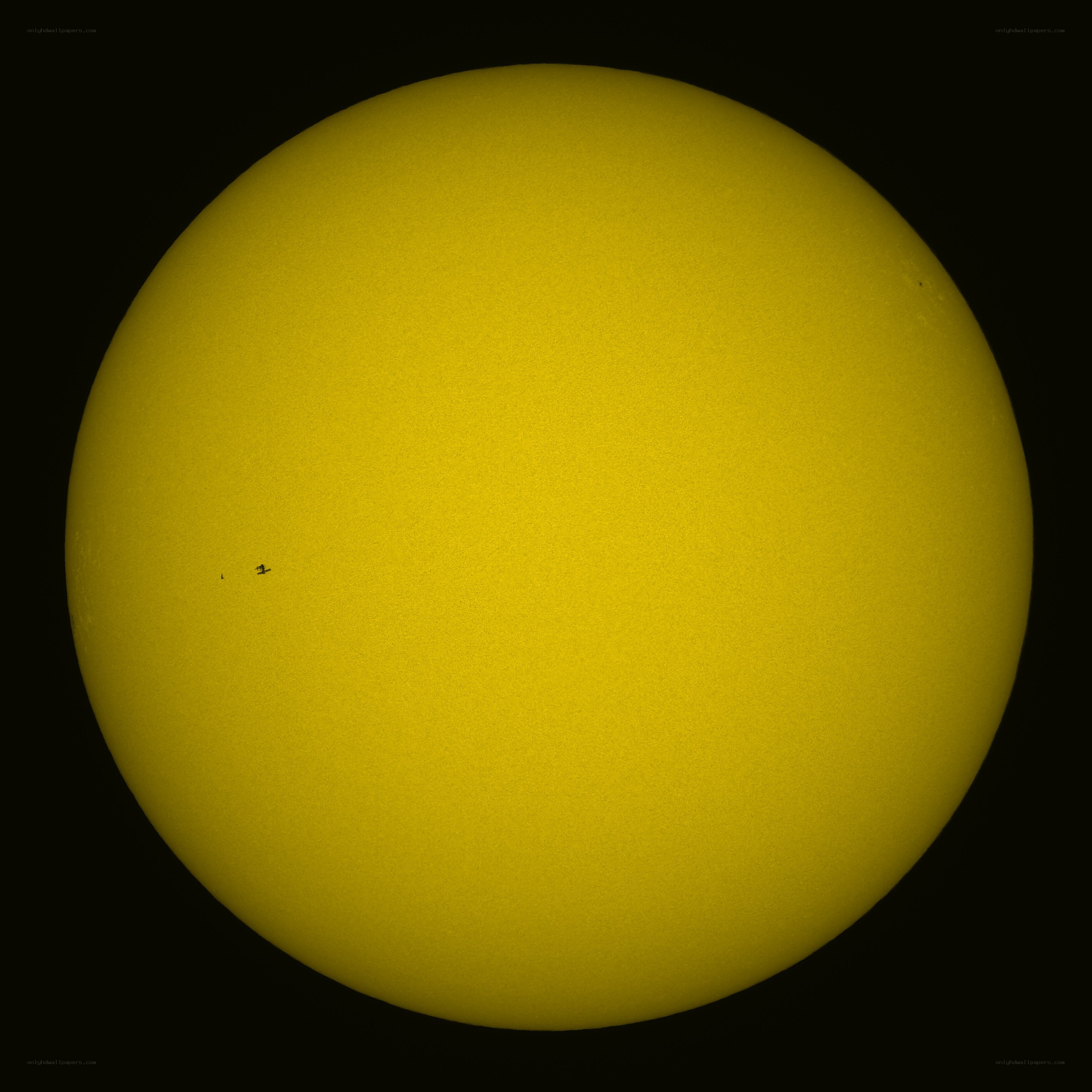 Sun with sunspots