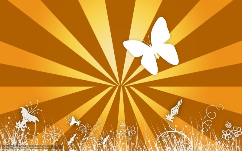 Sunburst butterfly design