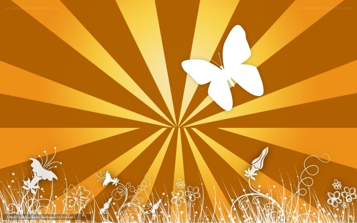 Sunburst butterfly design
