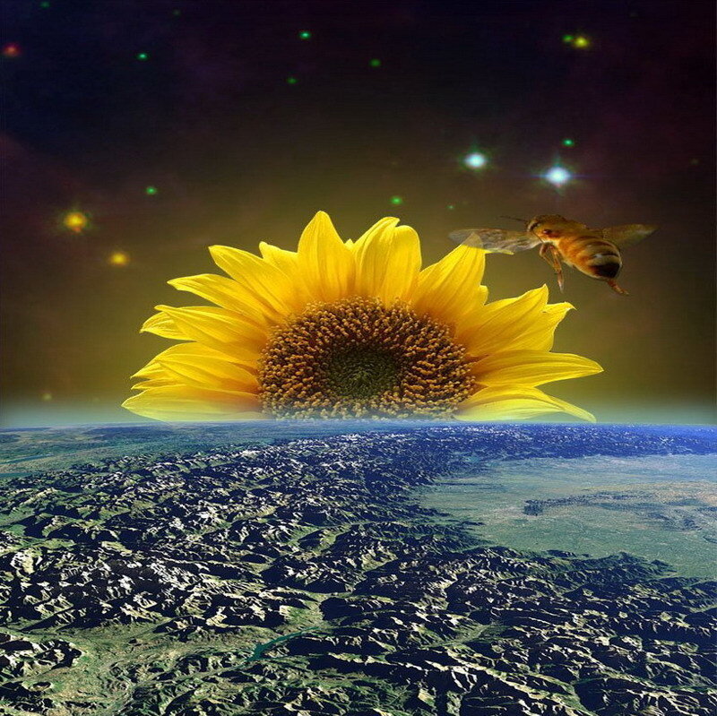 Sunflower above Earth from space
