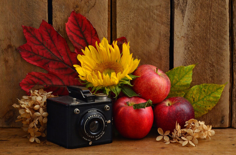 Sunflower and Apples — Red