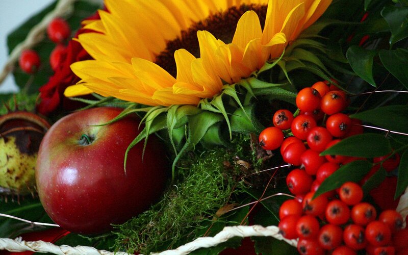 Sunflower and Apples