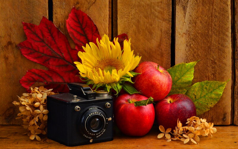 Sunflower and Apples — Yellow
