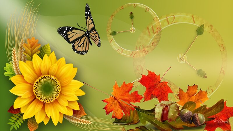 Sunflower and Autumn Leaves