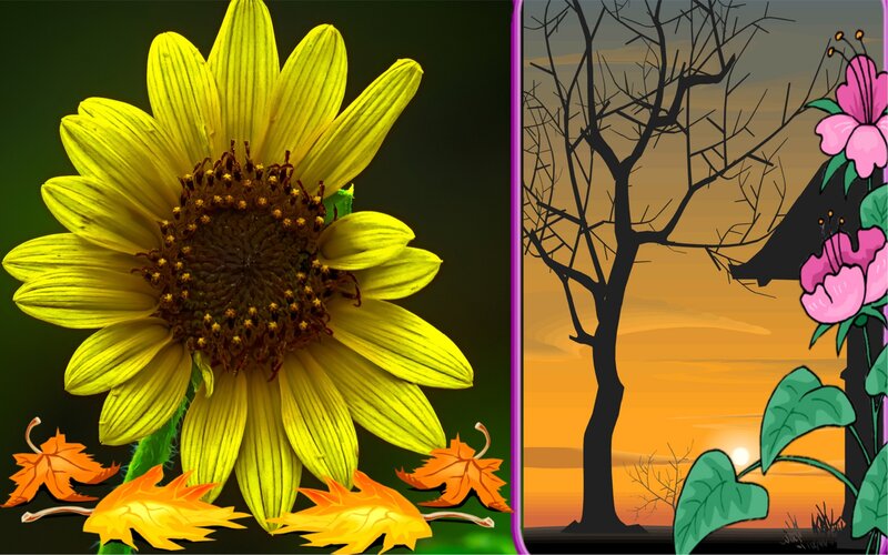 Sunflower and Autumn Leaves — Yellow