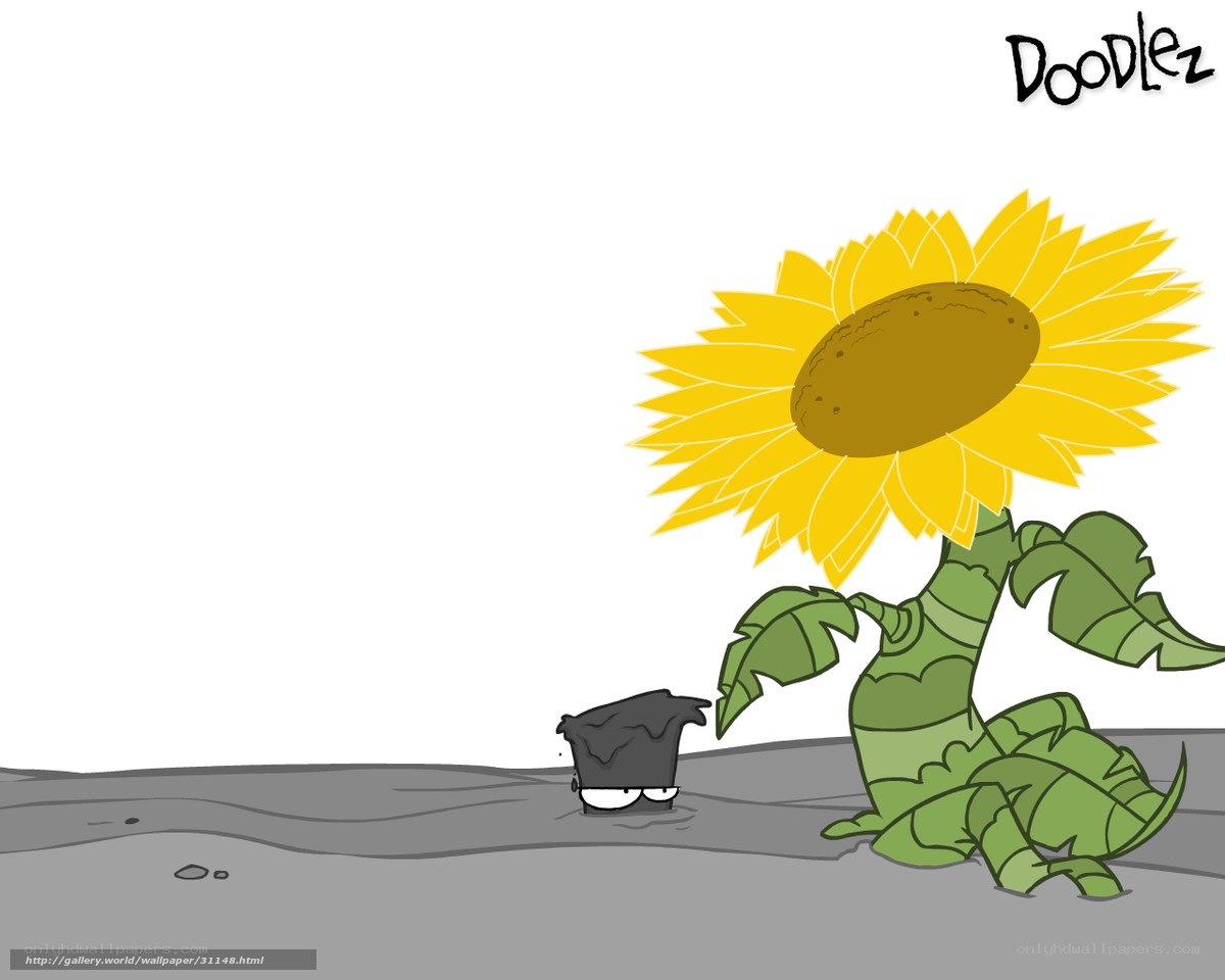 Sunflower and bucket doodle
