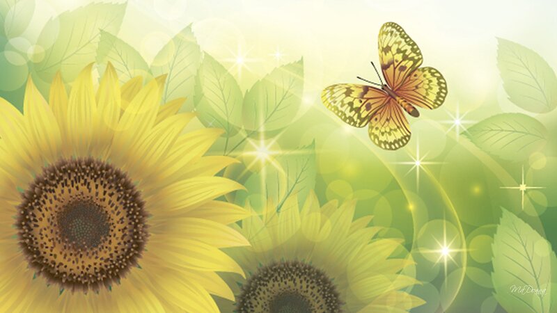 Sunflower and Butterfly