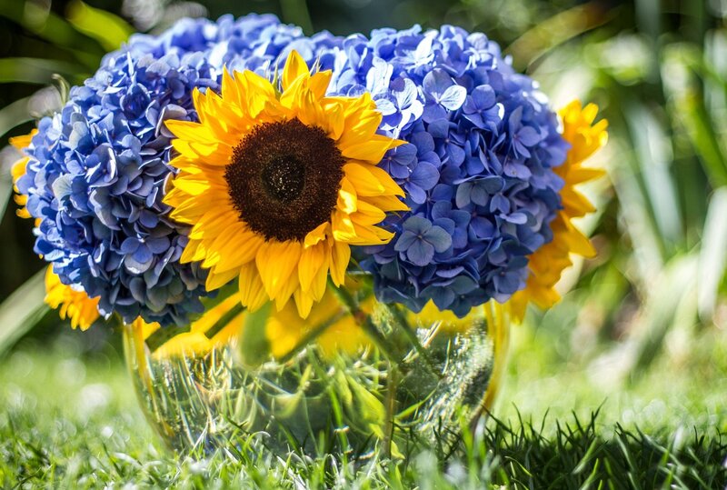 Sunflower and Hydrangeas