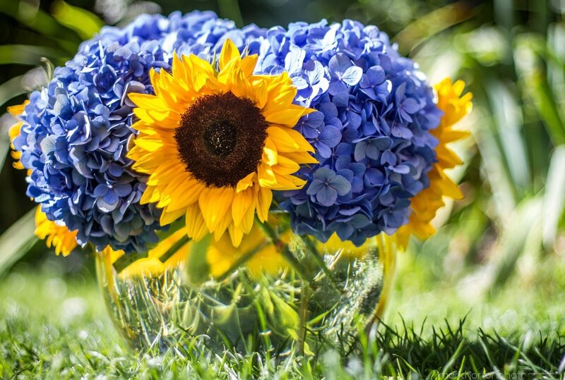 Sunflower and Hydrangeas — Yellow