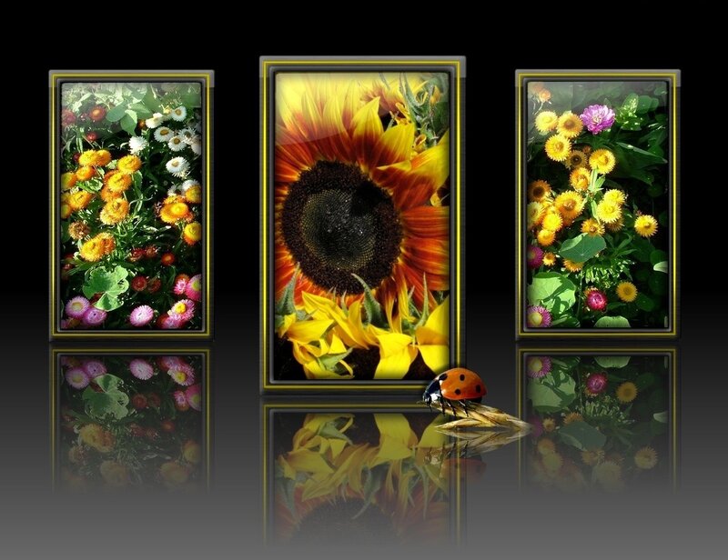Sunflower and Ladybug