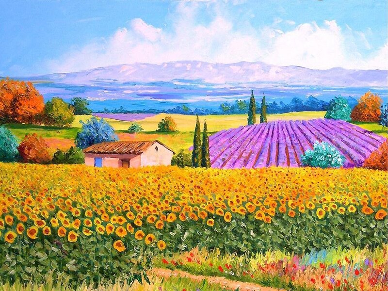 Sunflower and Lavender Fields