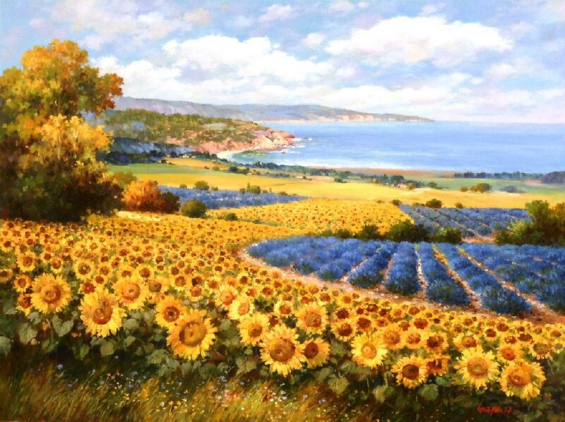 Sunflower and Lavender Fields — Yellow, Serene