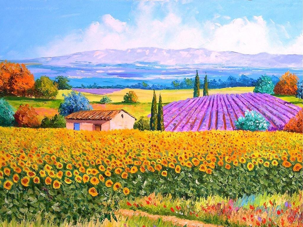 Sunflower and Lavender Fields
