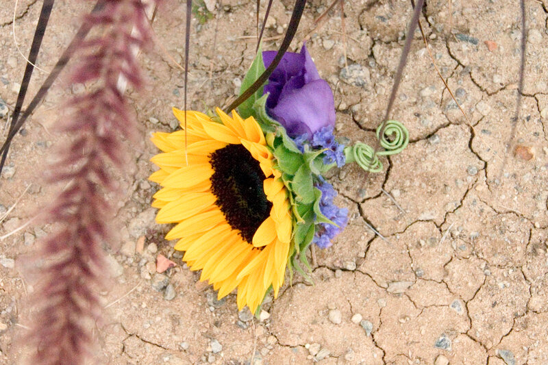 Sunflower and Purple Flowers — Yellow
