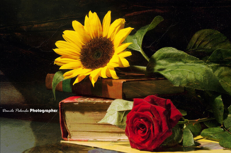 Sunflower and Rose on Books