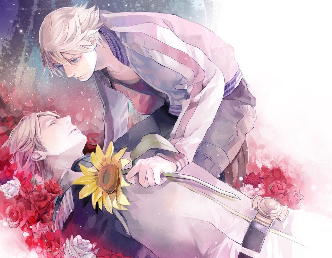 Sunflower and roses in a dream