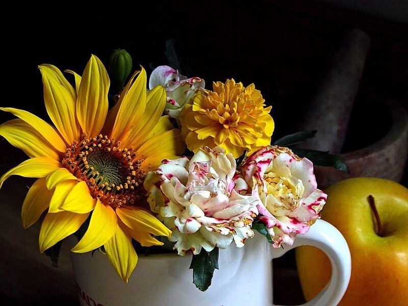 Sunflower and Roses in Cup