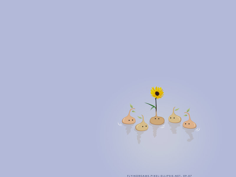 Sunflower and seedlings