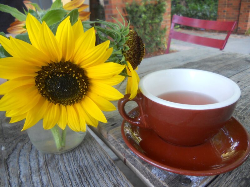 Sunflower and Tea Cup