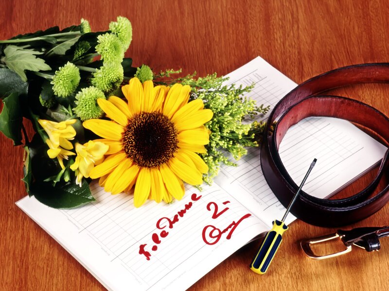 Sunflower and tools on desk