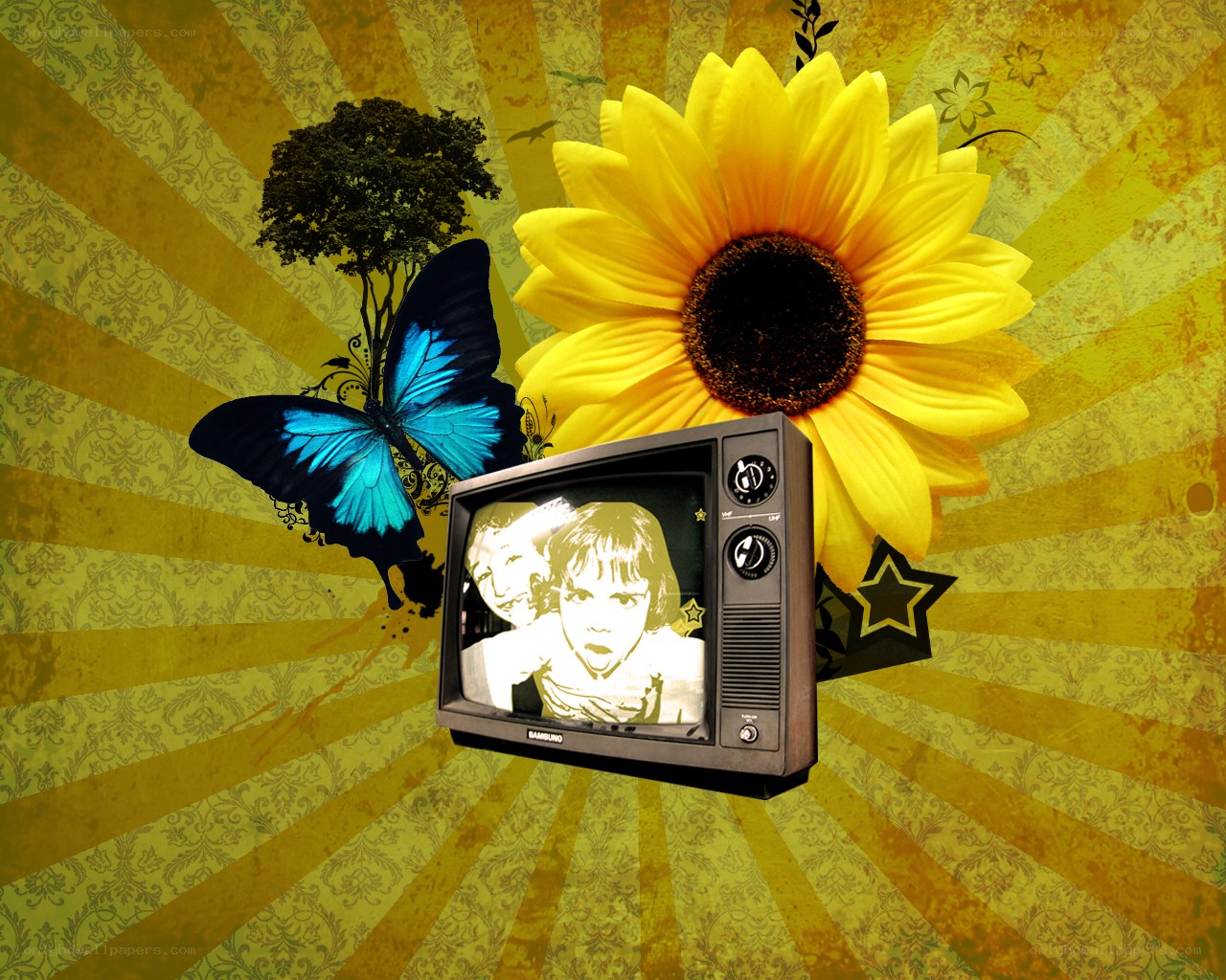 Sunflower and vintage TV collage