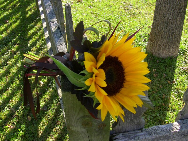 Sunflower Bouquet on Fence