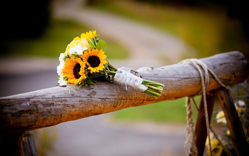 Sunflower Bouquet on Log