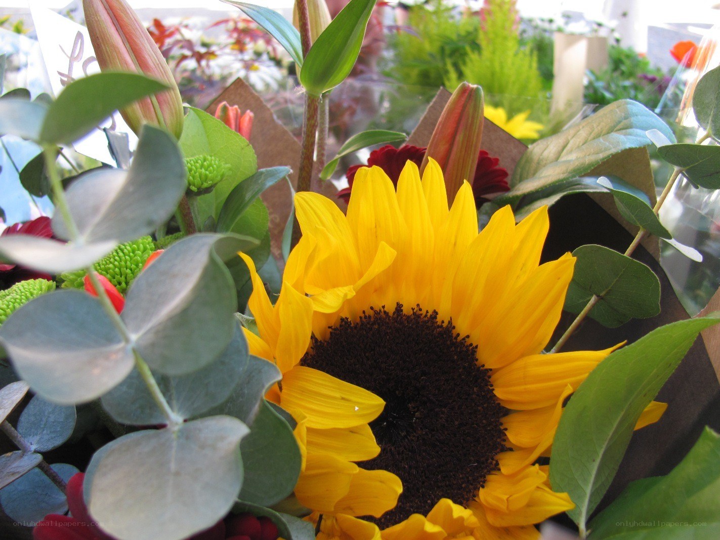 Sunflower bouquet with eucalyptus