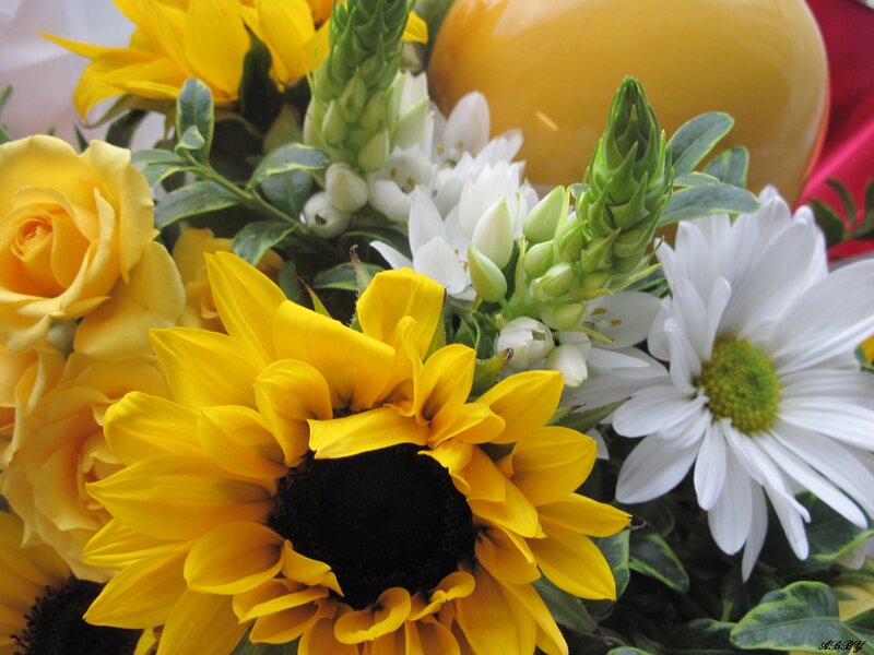 Sunflower Bouquet — Yellow, Bright, Afternoon