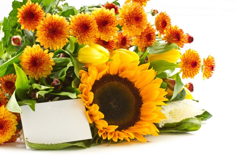 Sunflower Bouquet — Yellow, Bright, Autumn
