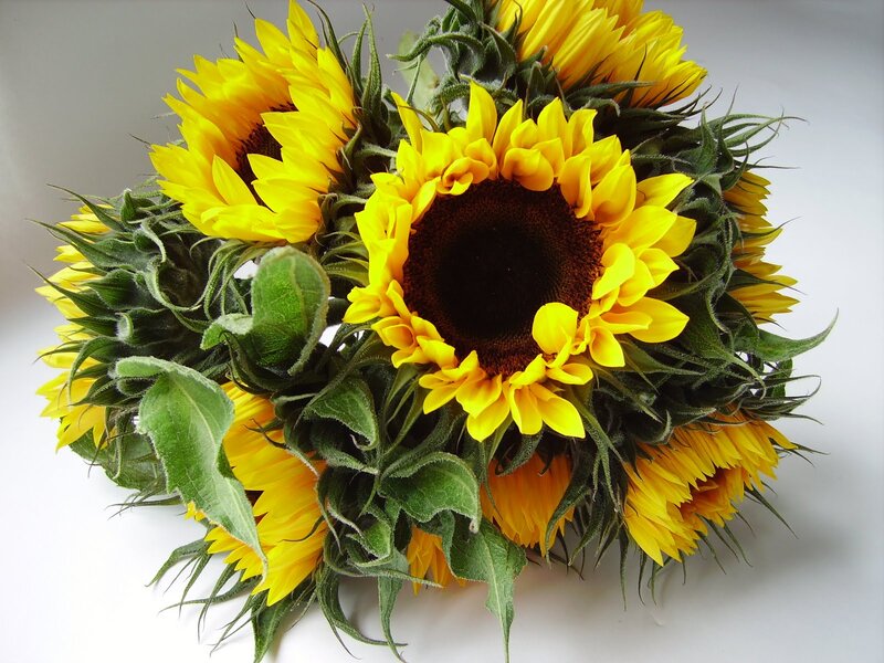 Sunflower Bouquet — Yellow, Bright, Photograph, Green Leaves