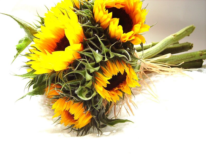 Sunflower Bouquet — Yellow, Bright, Photograph