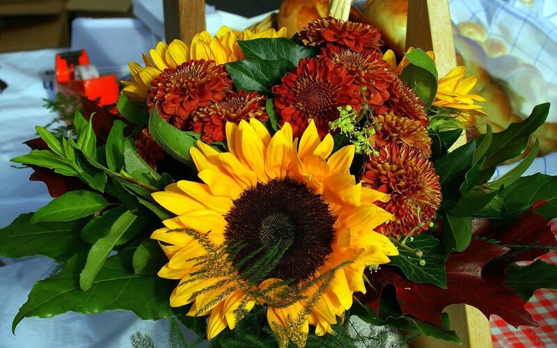 Sunflower Bouquet — Yellow, Warm, Autumn