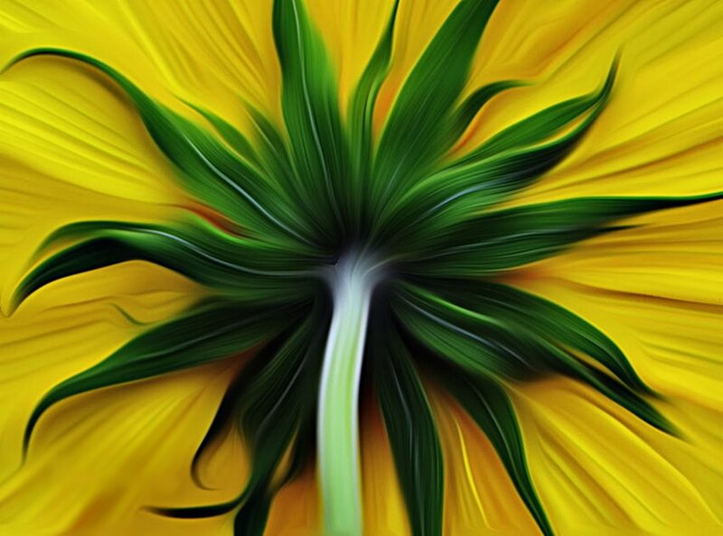 Sunflower Center — Yellow, Vibrant, Digital Art