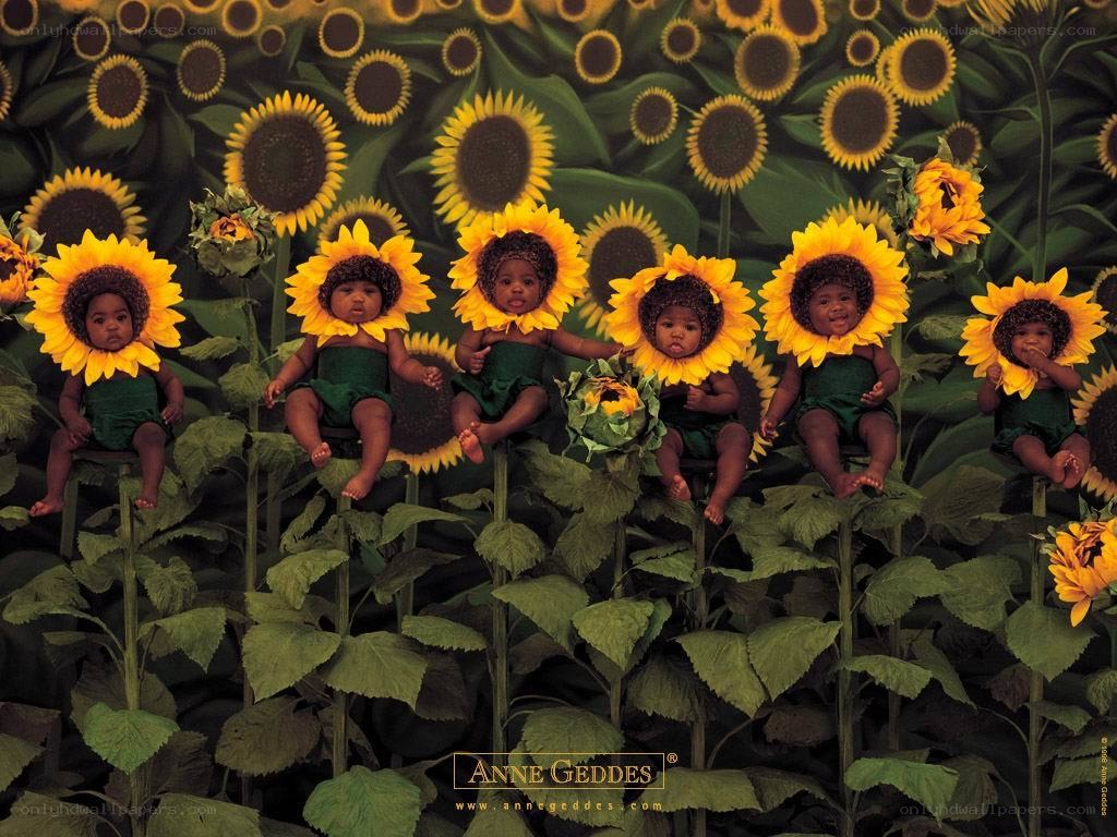 Sunflower children in a field