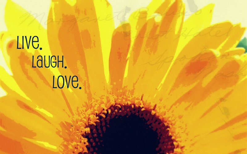 Sunflower Close-up — Yellow, Inspirational